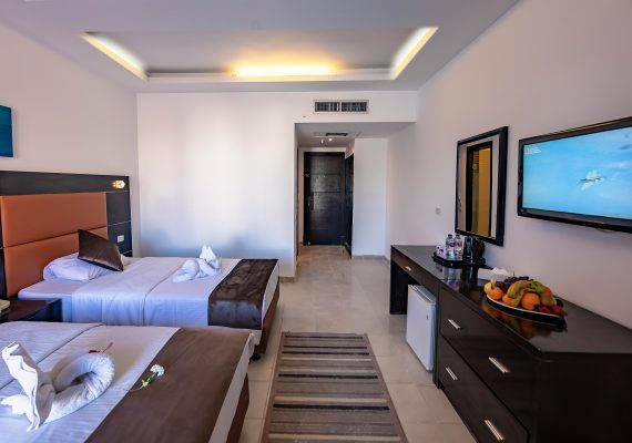 Standard Room City View